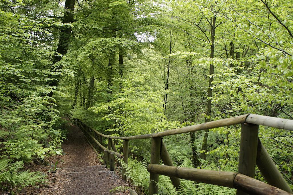 Elpe Apartments Hochsauerland エクステリア 写真