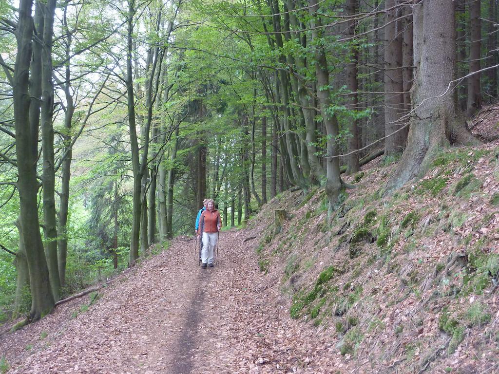 Elpe Apartments Hochsauerland エクステリア 写真